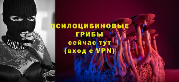 стаф Надым