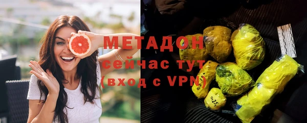 прущие грибы Арсеньев