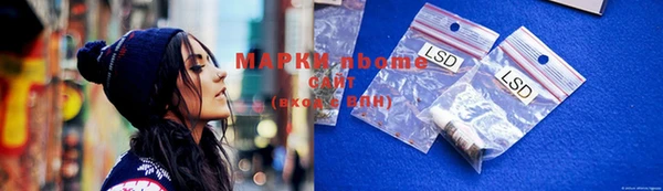 прущие грибы Арсеньев