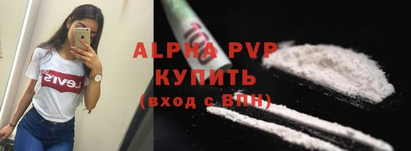 стаф Надым