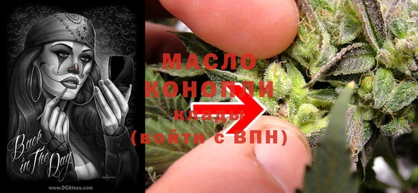 стаф Аркадак