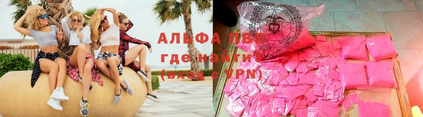 прущие грибы Арсеньев