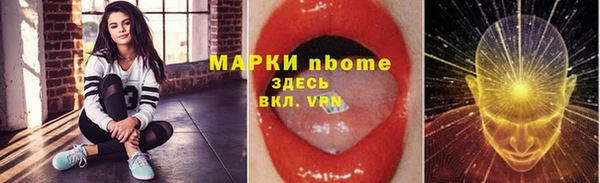 стаф Аркадак